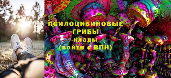 гидропоника Аркадак