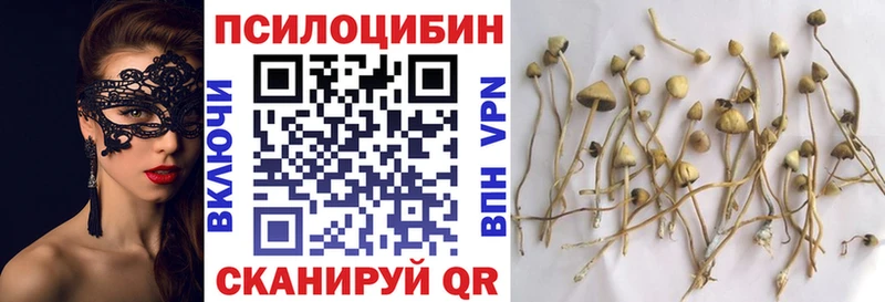 Псилоцибиновые грибы мухоморы  закладки  Игарка 